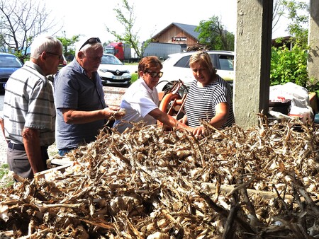Podarila sta tudi kuverto s pomočjo družini Pr Primož, kje je toča  močno poškodovala  med drugim velike količine česna  in druge pridelke
